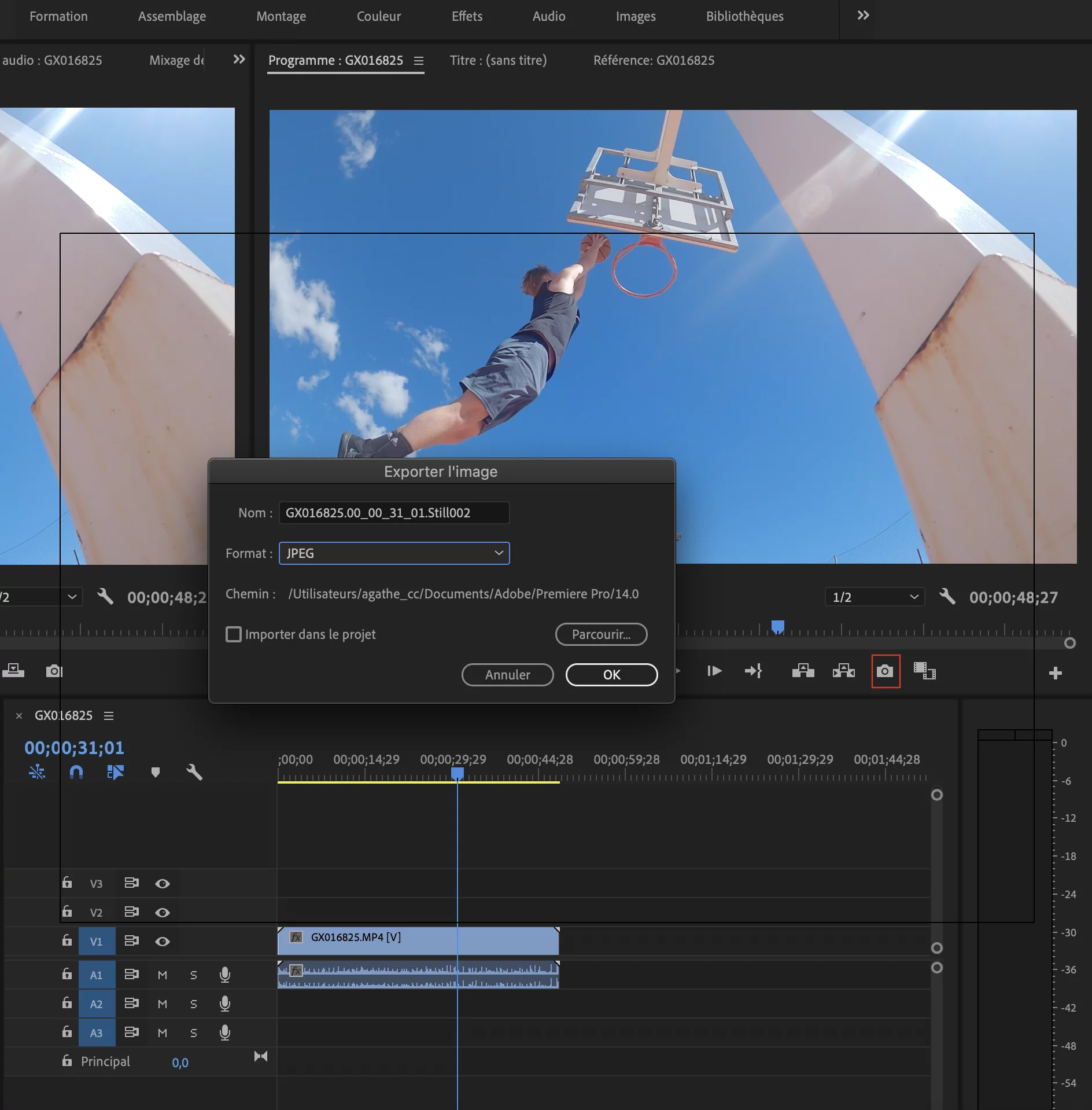 Capture d’écran Adobe Première Pro