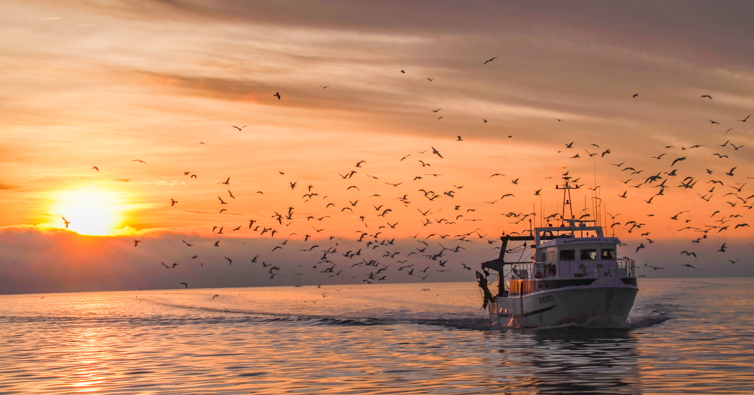Foto eines Trawlers bei Sonnenuntergang, Grau du Roi
